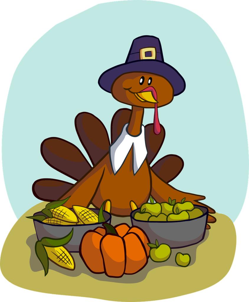 turkey, food, animal-1456358.jpg